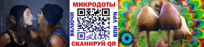 Галлюциногенные грибы ЛСД  мориарти какой сайт  Алексеевка 